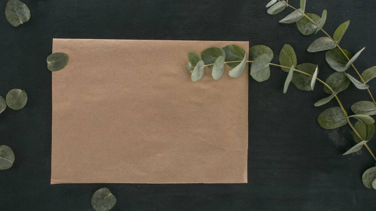 Banheiro Spa 2025: como usar plantas secas sem medo de mofo - Imagem do artigo original