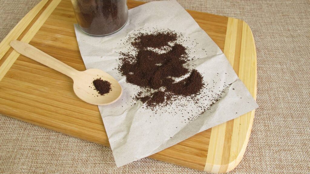 Borra de café nas plantas: adubo rápido que turbina o verde do seu vaso - Imagem do artigo